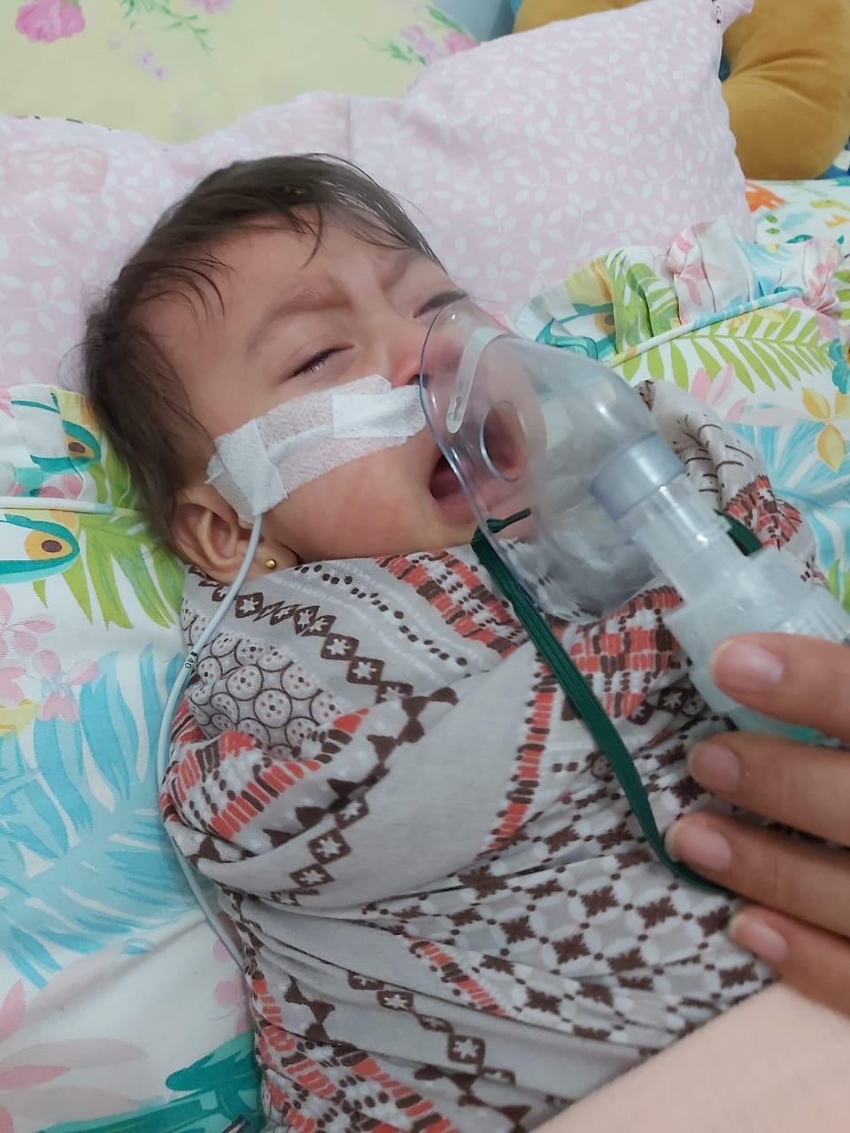 benihbaik_2021-06-22_312790d7f8fa30bbf8e18c6e3b56326b262d4ca1_jpeg