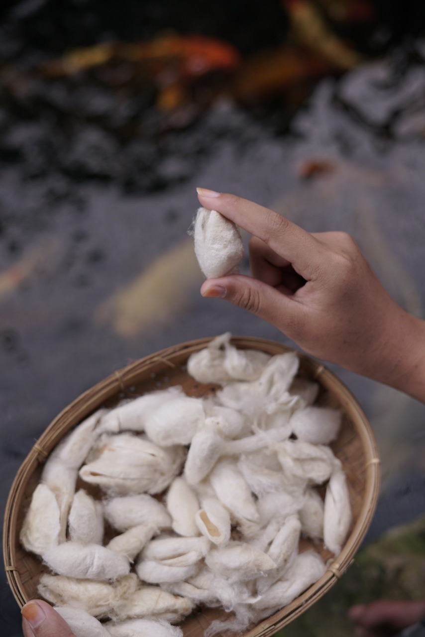 benihbaik_2021-06-24_26a8cdda134306dac90b79726f0f1f1941eacd32_jpeg