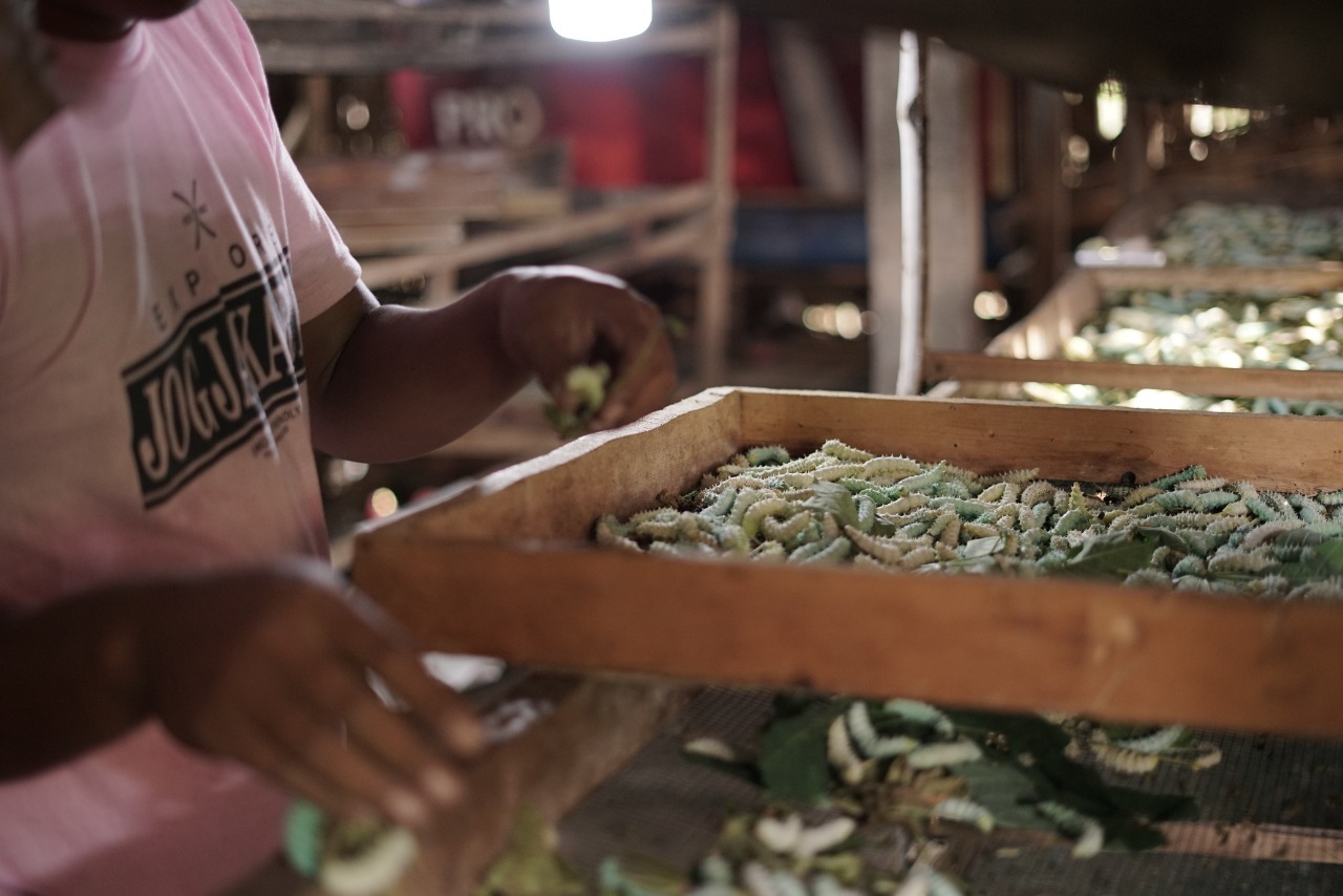 benihbaik_2021-06-24_af0d1f5d9b76ab4fba0a6db679a9a91ddf5bc5fa_jpeg