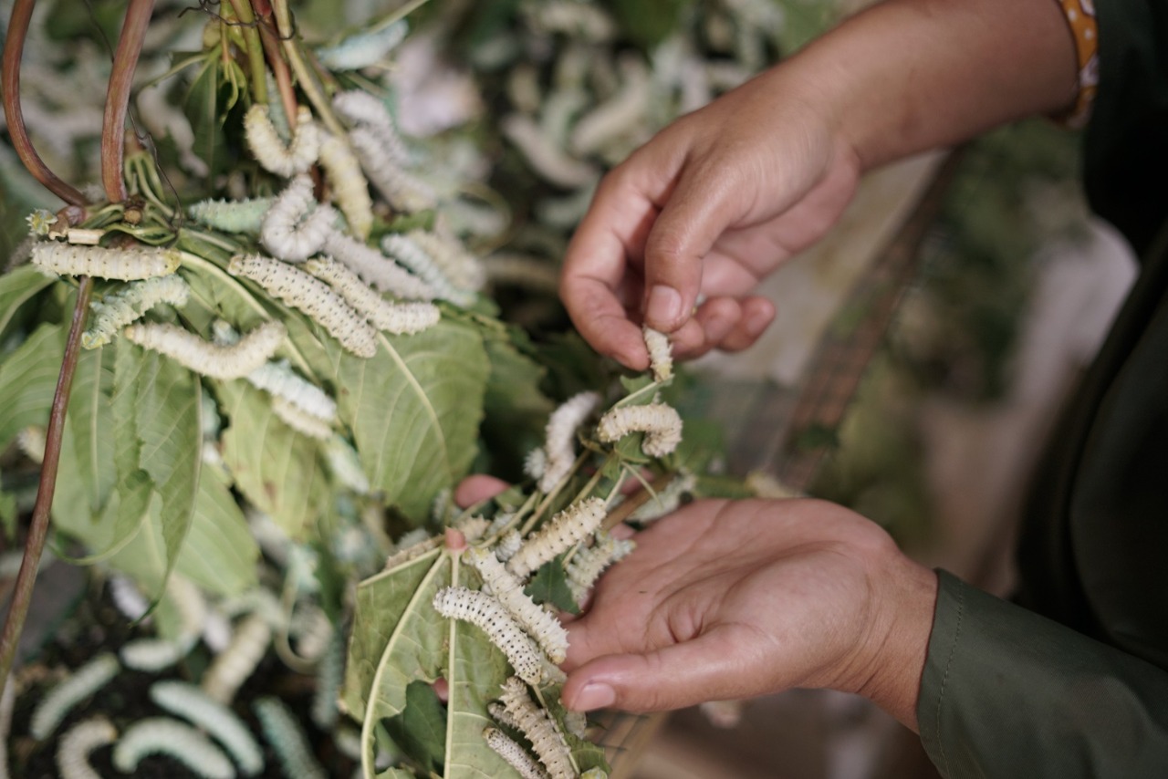 benihbaik_2021-06-24_faa2d918d55f9b9e7105bb0a6d230b262aeda545_jpeg