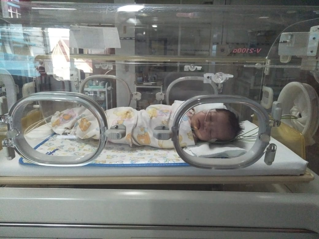 benihbaik_2021-06-28_01c1e9c912f7d4477ca25f70b6718c23e931c4aa_jpeg