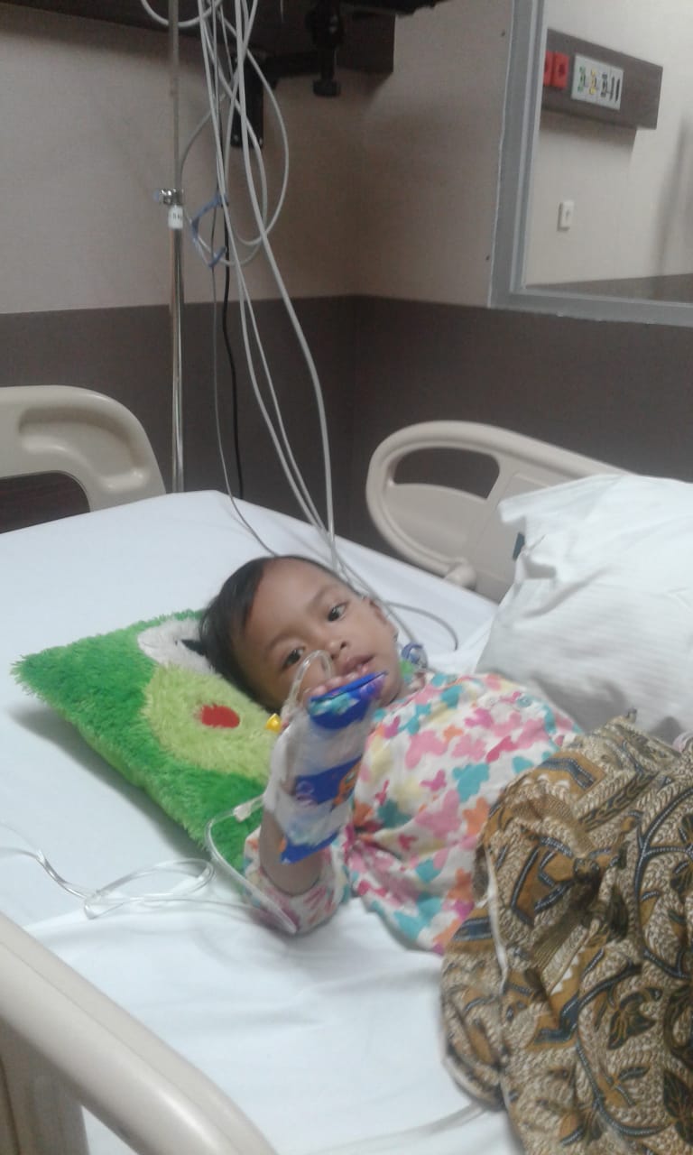 benihbaik_2021-06-30_47bce9c76acc89e385cdf69bed8fc5d79d1a1e00_jpeg