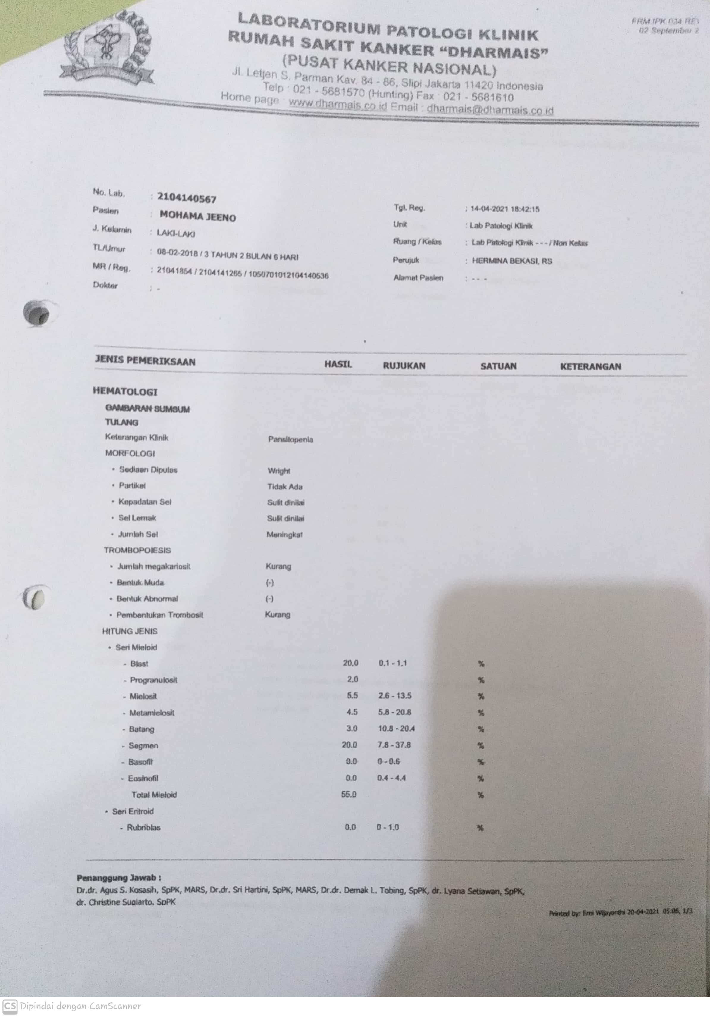 benihbaik_2021-07-07_621f83da19d7fefc48d49940d3206bf7ec909ceb_jpeg