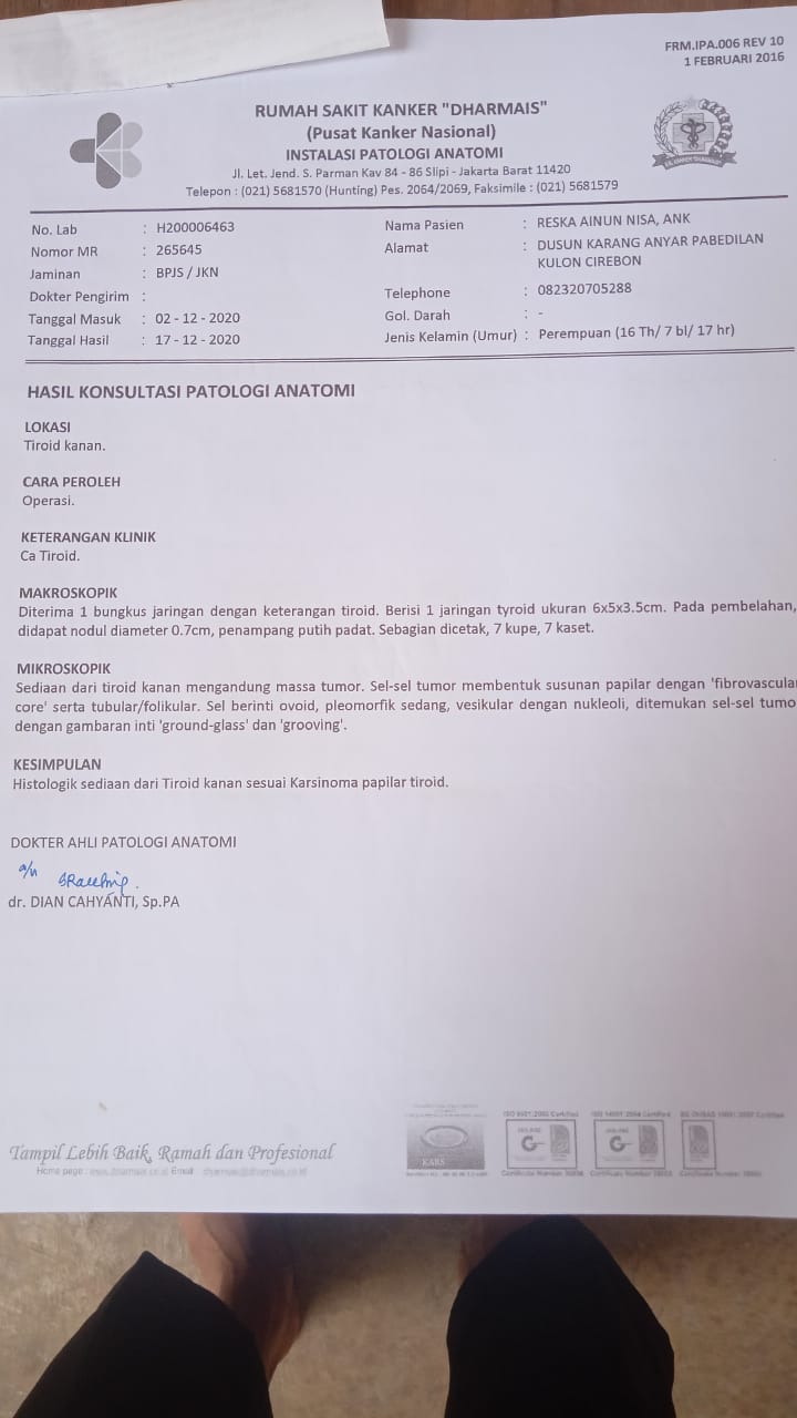 benihbaik_2021-07-07_d92548de54431a9d89a21f3138fbd46cdb4551c3_jpeg