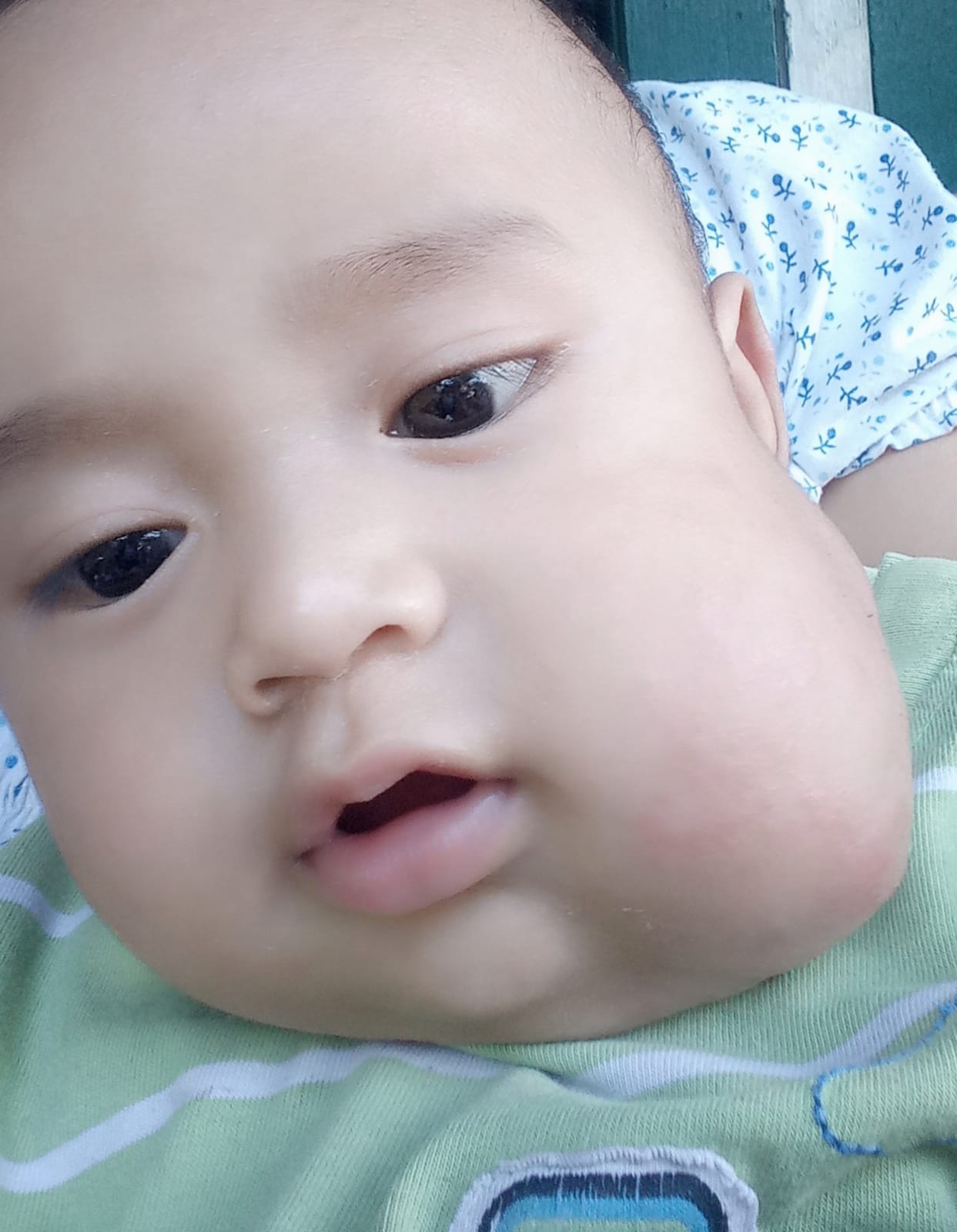 benihbaik_2021-07-27_c2a6969f9b060c3e8bfda35e507682f1808389ea_jpeg