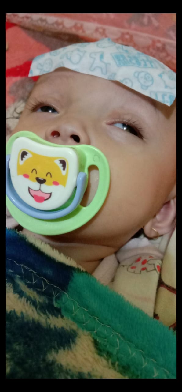 benihbaik_2021-07-30_c3dbd632e291a08963375153f7c5bf137cde5760_jpeg