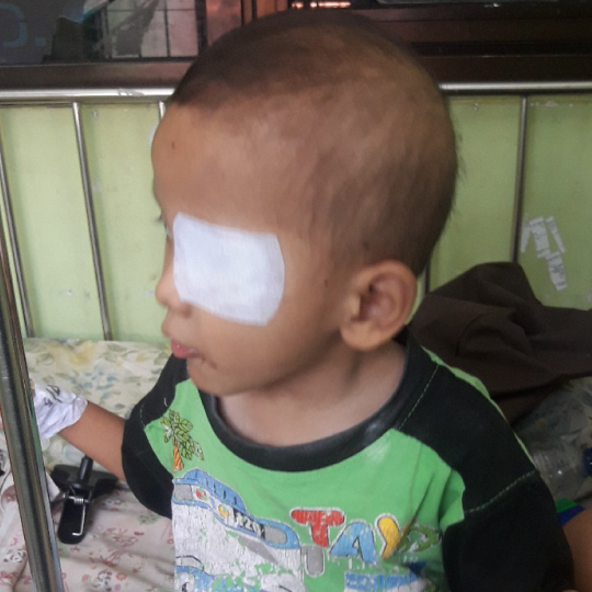 benihbaik_2021-07-30_c86984cd526c431104f128f393807b6538795a57_jpeg