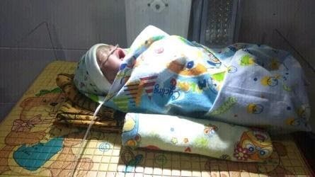 benihbaik_2021-08-03_918f4e0e9f2b7773c19f13bec4f2cc0c813e2a43_jpeg