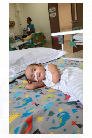 benihbaik_2021-08-04_7d4545023296e14d8d183fc55dd0994e638cb188_png