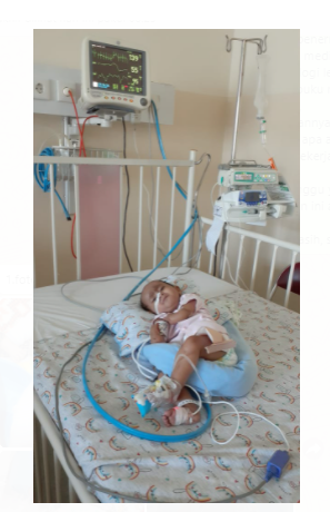 benihbaik_2021-08-04_9fb988dc430fcce1723877d17cf48a82557c6702_png