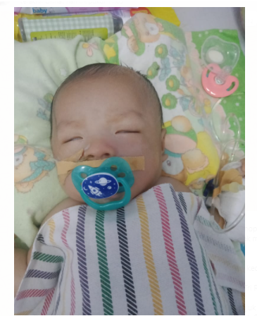 benihbaik_2021-08-05_32c5db6bf3b9710036020b59a8e3049c222ee81c_png