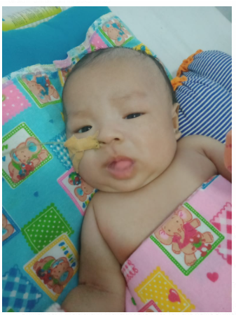 benihbaik_2021-08-05_518a4191896a91e7e84ecceb885e2b3f946f6dcc_png