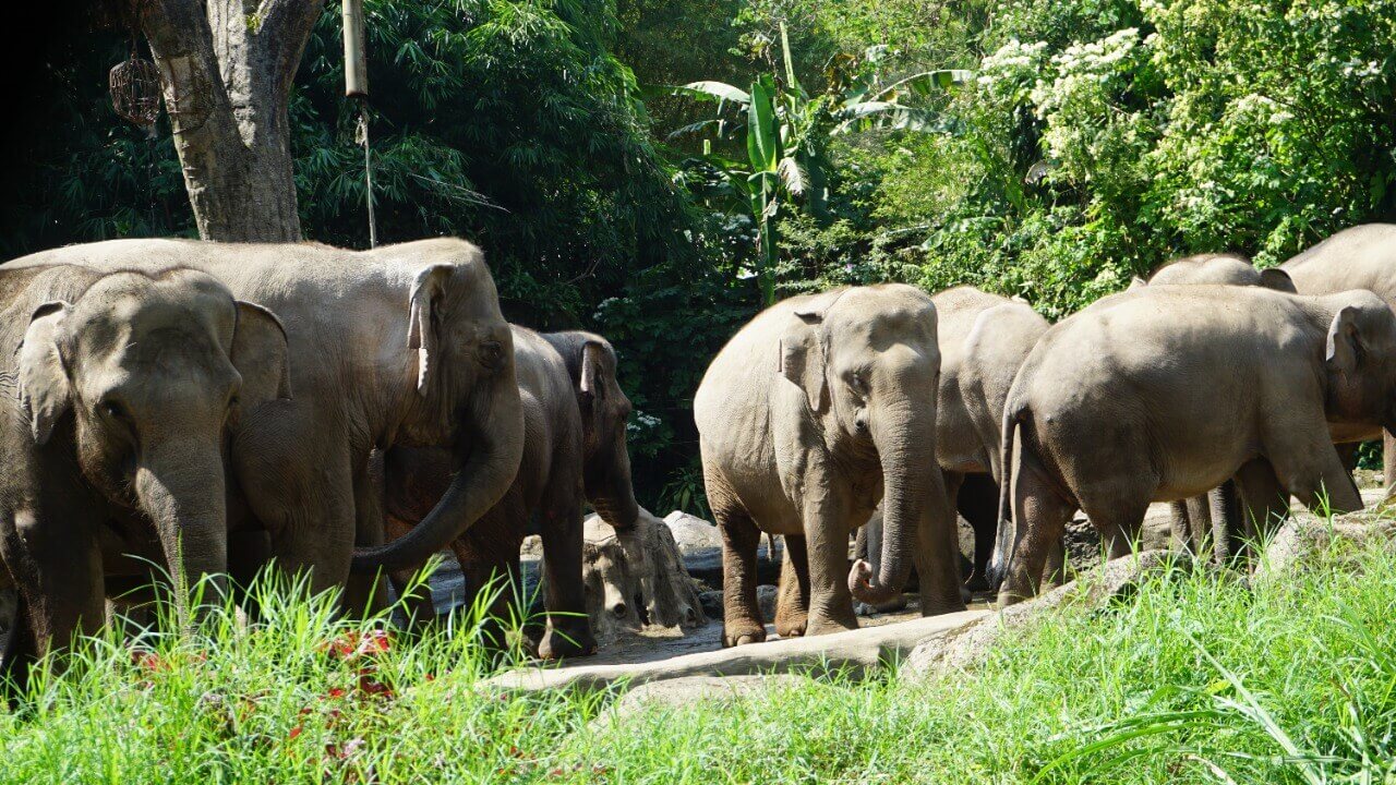 benihbaik_2021-09-02_10b6c056558ff6b6cdf007681f5117812b6fa930_jpeg