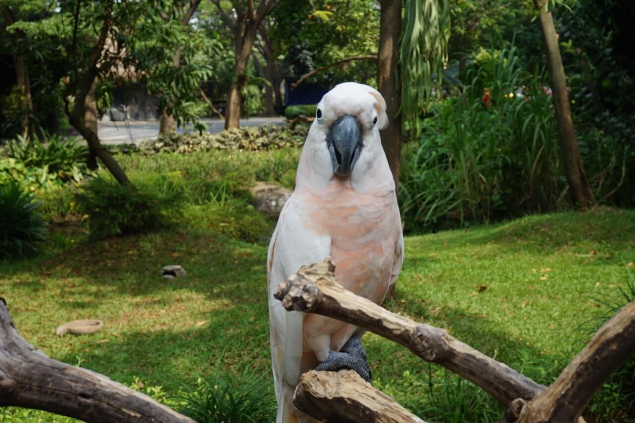 benihbaik_2021-09-02_2aa86102e02c7b9e301a97032f89ca12cbb527e5_jpeg