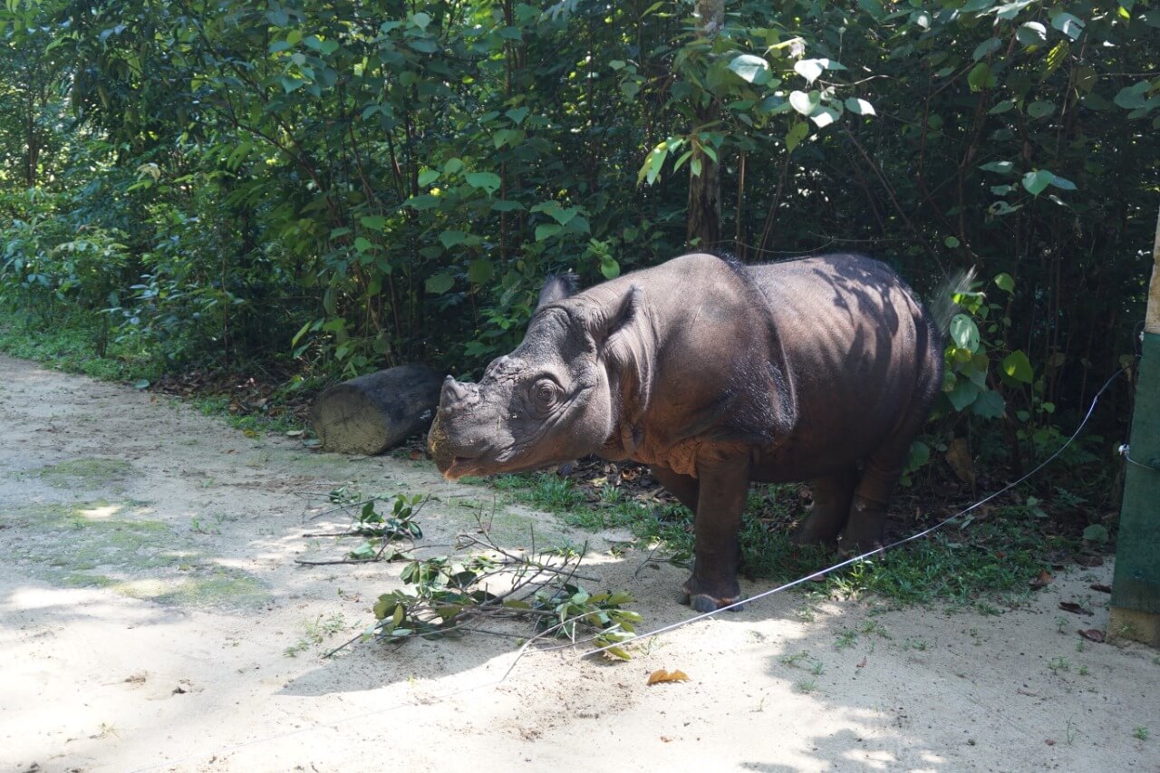 benihbaik_2021-09-02_f80b4fc4a07d33fa36e7deb43f5336e6b247dd3b_jpeg