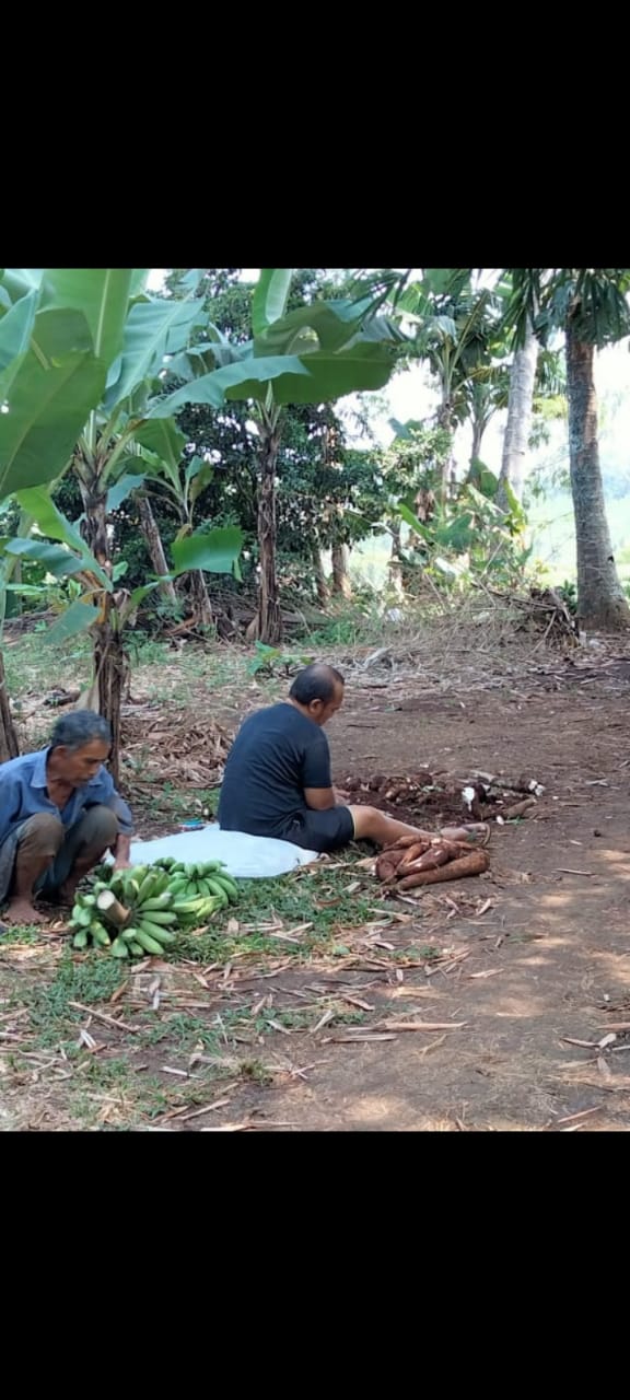 benihbaik_2021-09-07_03f141d736cedbfa540649d09de9d189dcbc8d82_jpeg