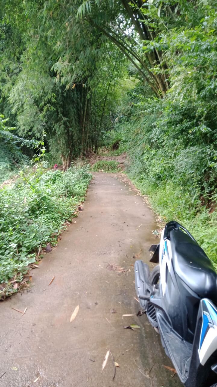 benihbaik_2021-09-07_97ae55ff9e90450efccdb129164d68445e6d2695_jpeg