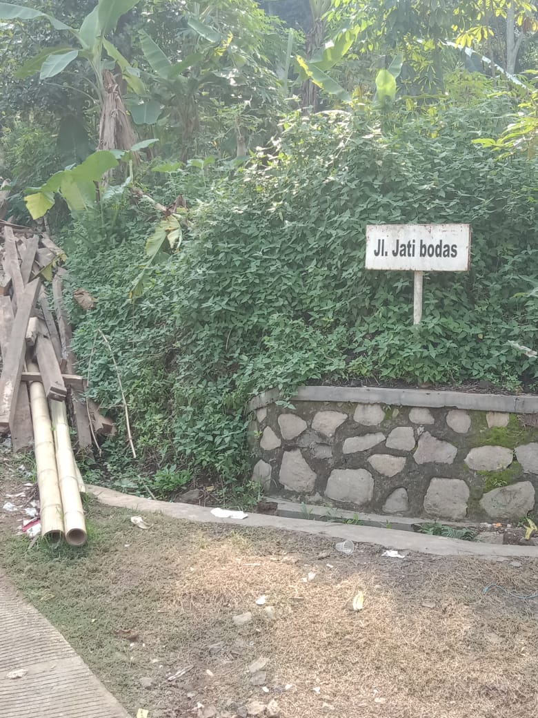 benihbaik_2021-09-07_c35fa930551a8f6bebd51fac94802215236e1614_jpeg