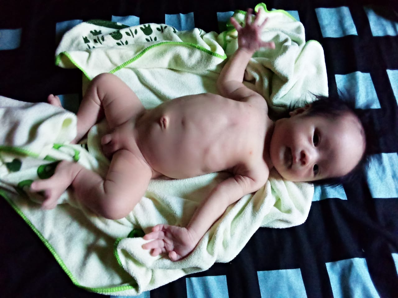 benihbaik_2021-09-10_dd718b226377b93f7fc0e7e26b48a35e3fa25dfc_jpeg