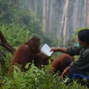 benihbaik_2021-09-20_3e799beaf895cc5c37e54fe2b9216d93cd19b816_jpeg