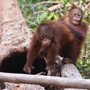 benihbaik_2021-09-20_44eeb1971714b43f2426ebd870b0fa0a40d9e4f6_jpeg