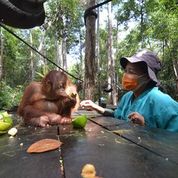 benihbaik_2021-09-20_867df6a8f3b9739ad173d9ed6df589862d9db515_jpeg