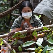 benihbaik_2021-09-20_8fb6fc13ca6fef3e839a25d0477bf26def0db533_jpeg