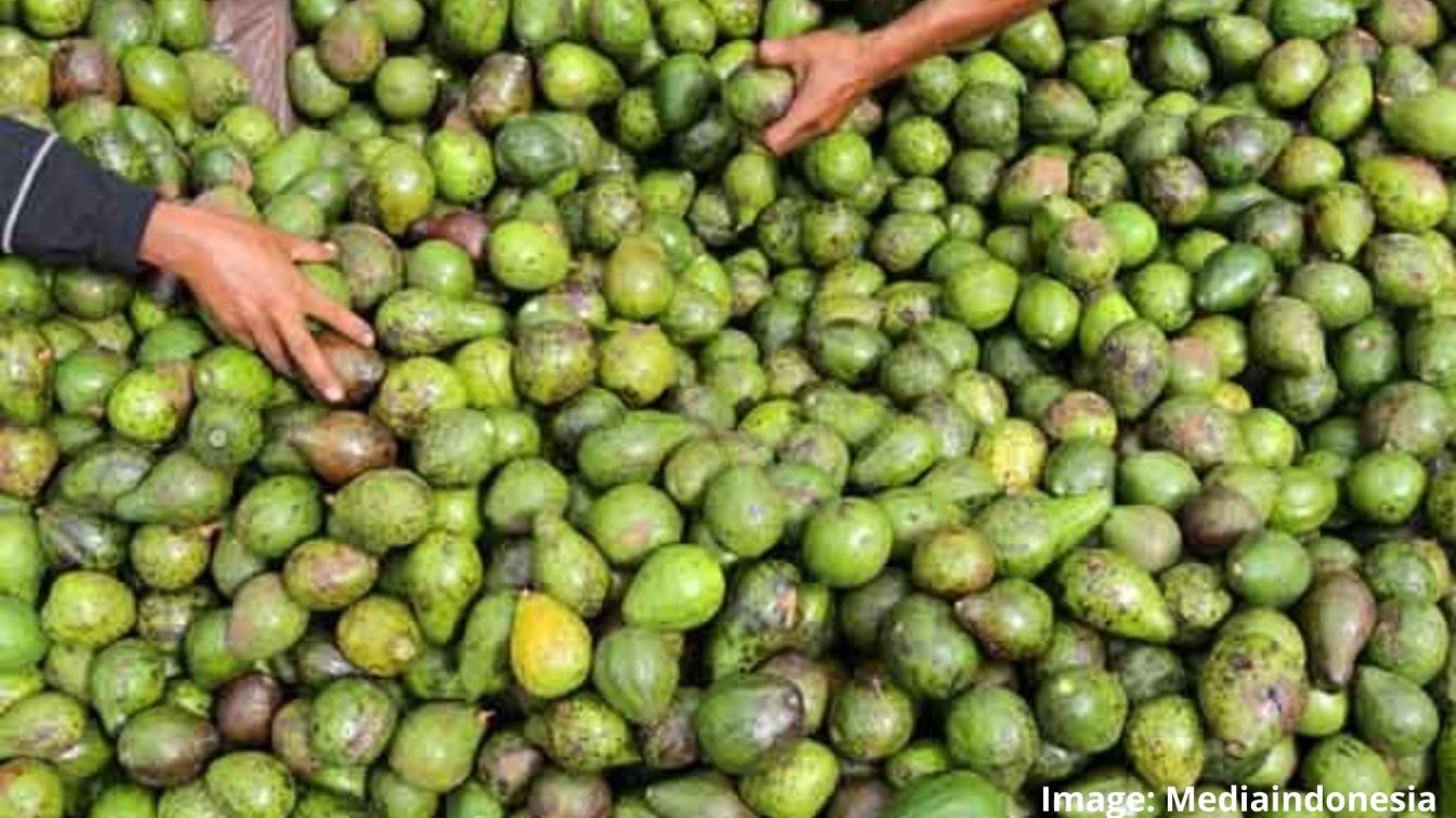 benihbaik_2021-09-24_f4d696f173dae44d7d4b0c7db2f1b45e030340ab_jpeg