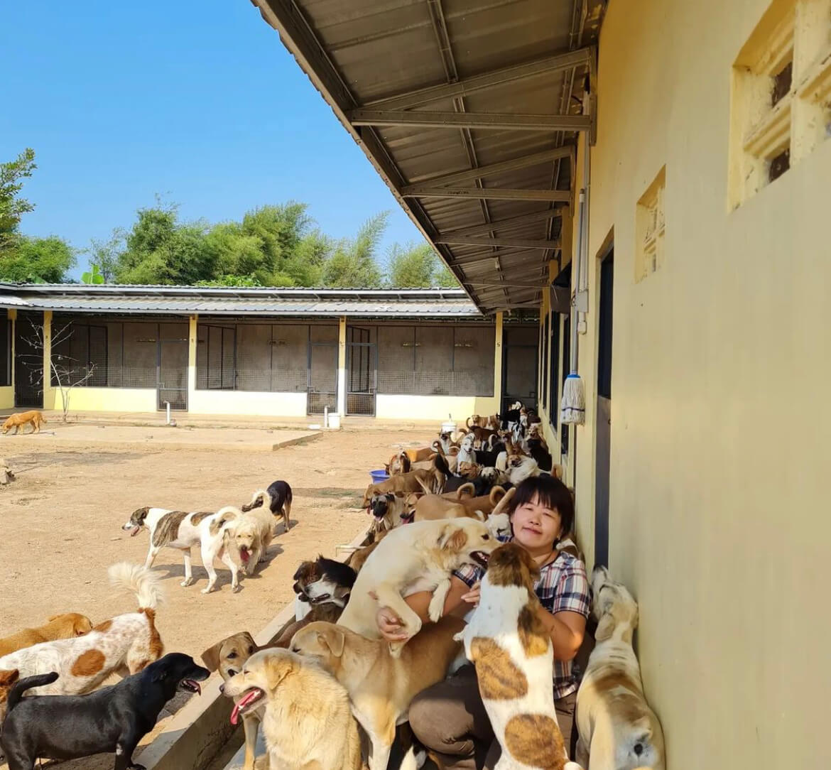 benihbaik_2021-09-27_1739b603e62bc5d8546810e03d5bef1f2febd3a3_jpeg