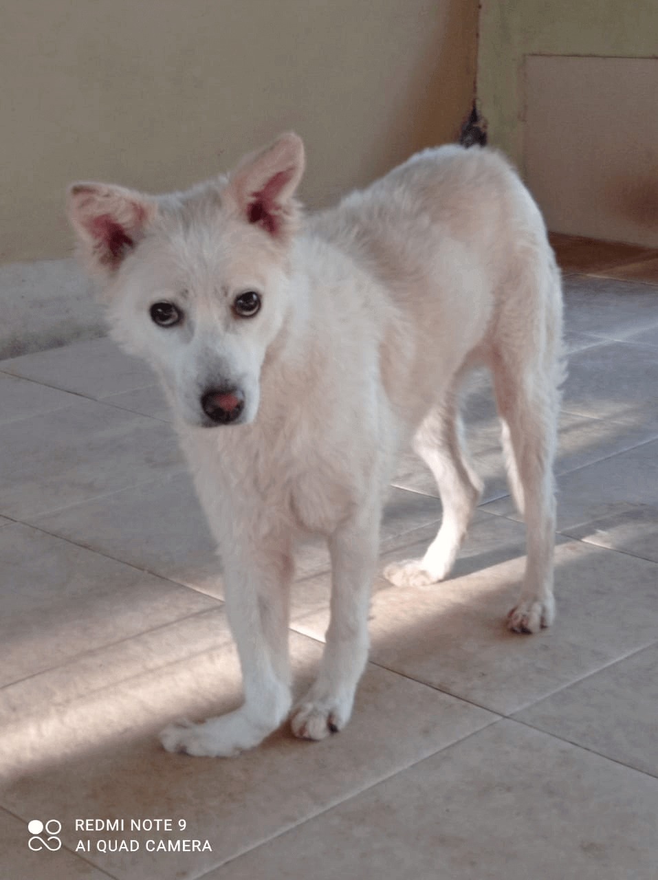 benihbaik_2021-09-27_1f766103cd93215d2acf31929e0f92f37834bdea_jpeg