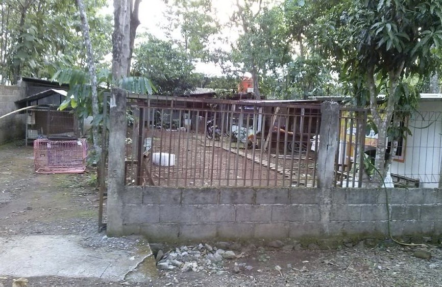 benihbaik_2021-09-27_f44d496a5257007d2cd3181689e539f563c12e3b_jpeg