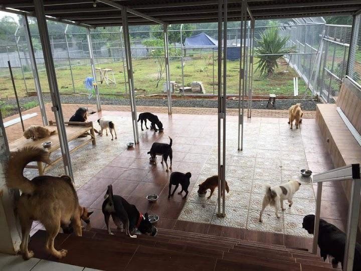 benihbaik_2021-09-29_d776bacdecdbf51caae4f15fb02807985b59add6_jpeg