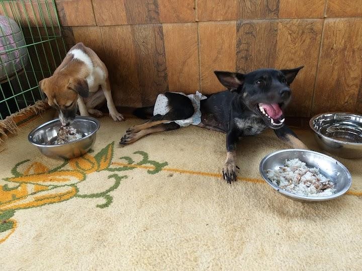 benihbaik_2021-09-29_ef165ed161f4e5c5567a053b3b6842366aa92710_jpeg