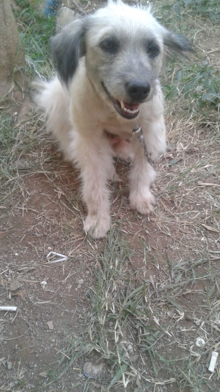 benihbaik_2021-09-30_0290e95a41a5fbb853ad0c5afc5ecb9b0f2a1c52_jpeg