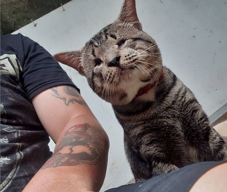 benihbaik_2021-09-30_1a398ab01571dd75f7e6613de13fd0323a766fb0_jpeg