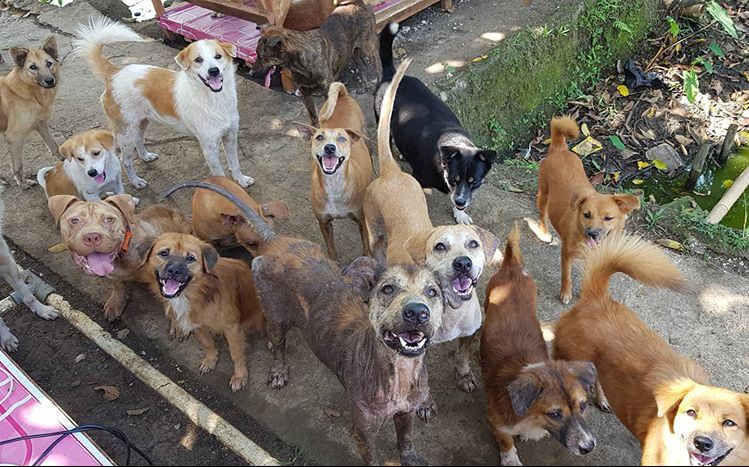 benihbaik_2021-09-30_70359e74c35b5b5d4ced37109c9eb82558fb8347_jpeg