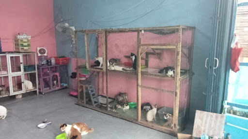 benihbaik_2021-09-30_d3003e008b3ee04dcd761ffed8b3c09a6941bf30_jpeg