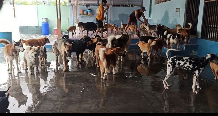 benihbaik_2021-10-13_1712bd8dc27559d30fd2012bc6c02fe7eed535e3_jpeg