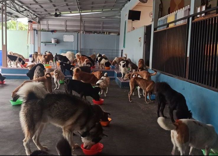 benihbaik_2021-10-13_42c75001b1e092b8b0cc3d093881d4a0f5102089_jpeg