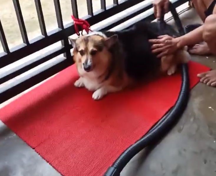 benihbaik_2021-10-13_60274280a45fe993804d01a06dd36a7d0ad18225_jpeg