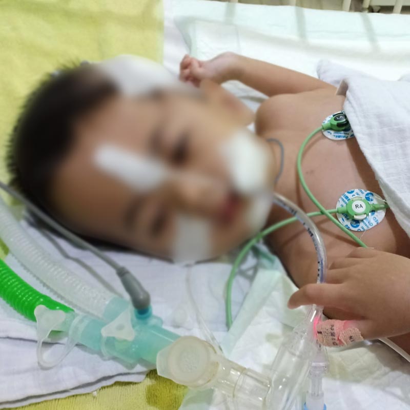 benihbaik_2021-10-13_c0e5e43e0c36714195b9eea60ac10af7d5aca293_jpeg