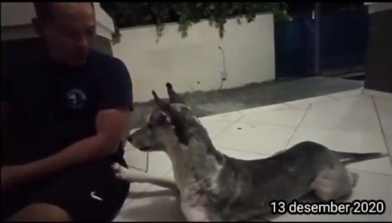 benihbaik_2021-10-13_e8f424eb1c84966b7ed18801ffb2a73cd357332a_jpeg