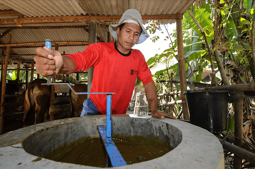 benihbaik_2021-10-18_f87bce796cd0cc7ac4b190c72e94dbca0dcb18a0_png