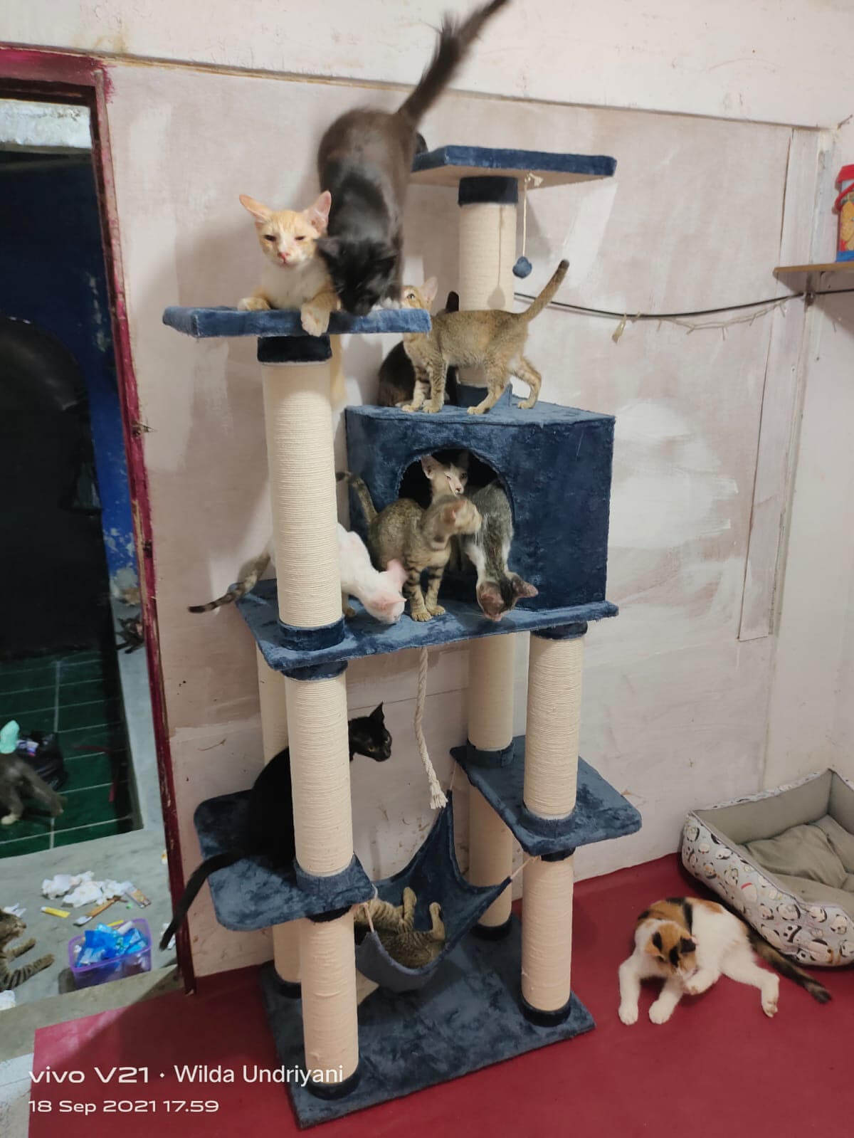 benihbaik_2021-10-19_8458b495709fc52329d7b16f3f357356b307872f_jpeg