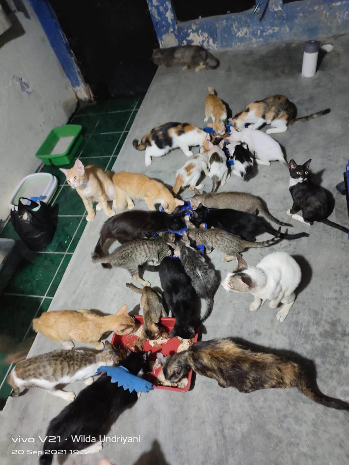 benihbaik_2021-10-19_9de0226ec72654fdee02e8461080ad44d40da782_jpeg