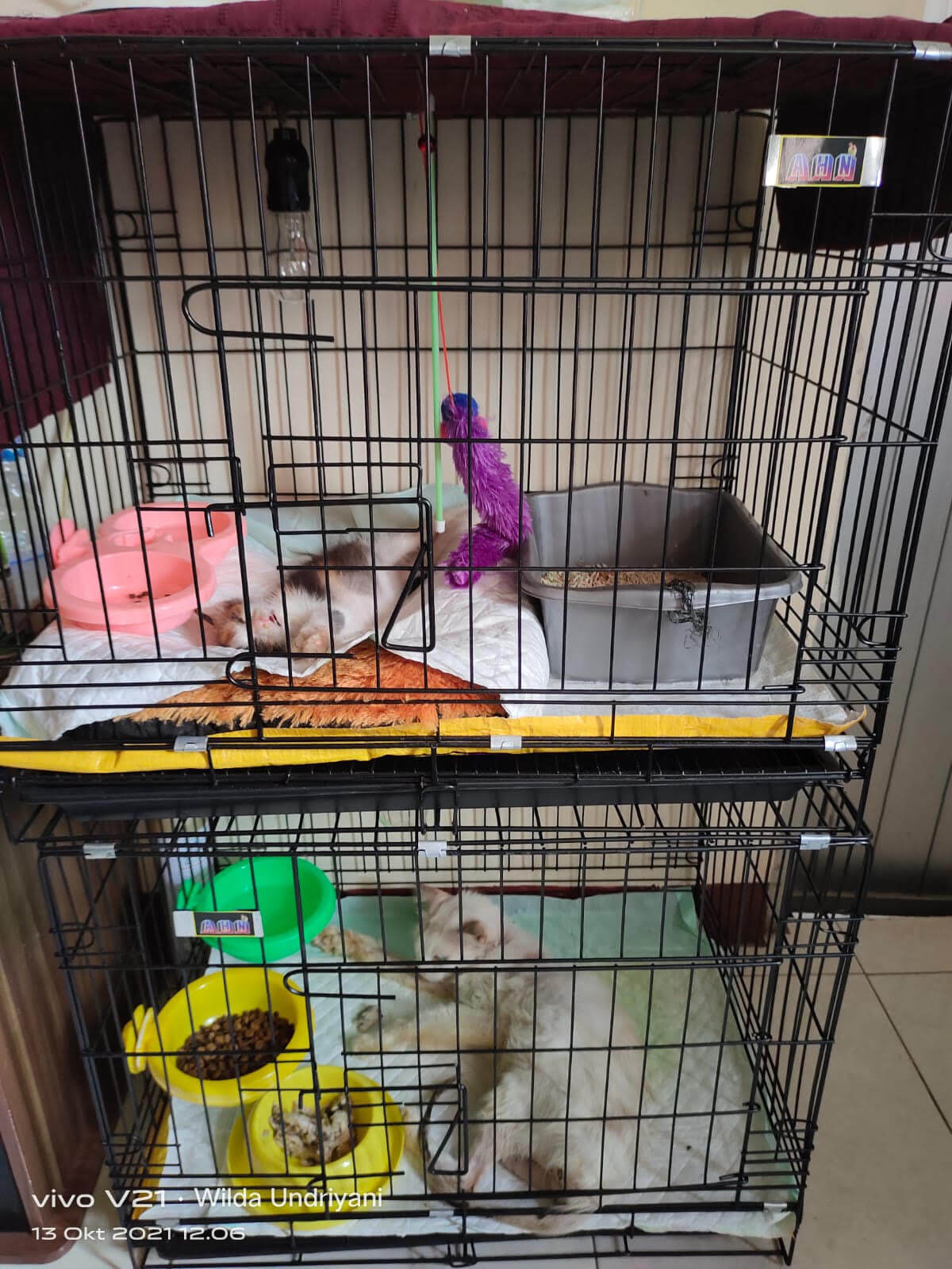 benihbaik_2021-10-19_ab0ce41660e2c148c8fb6b980a0d1248e5541f35_jpeg