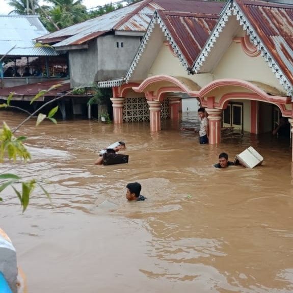 benihbaik_2021-11-04_78b82d99d0a3a1b0148772ac8ee2d4a2166e7ff9_jpeg