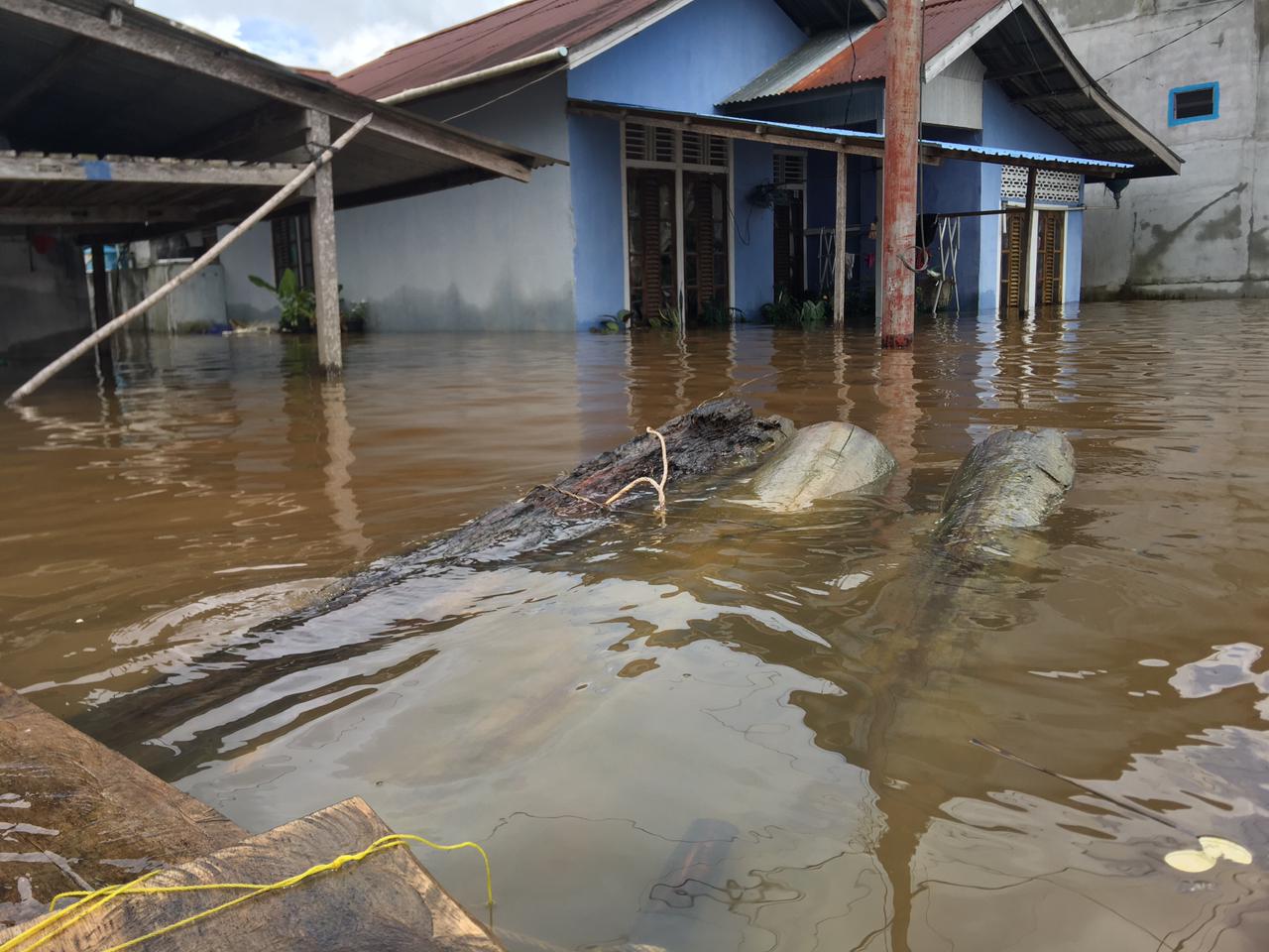 benihbaik_2021-11-04_ea51ea298c329b82c41cd31ba7ca1cde96dfe422_jpeg