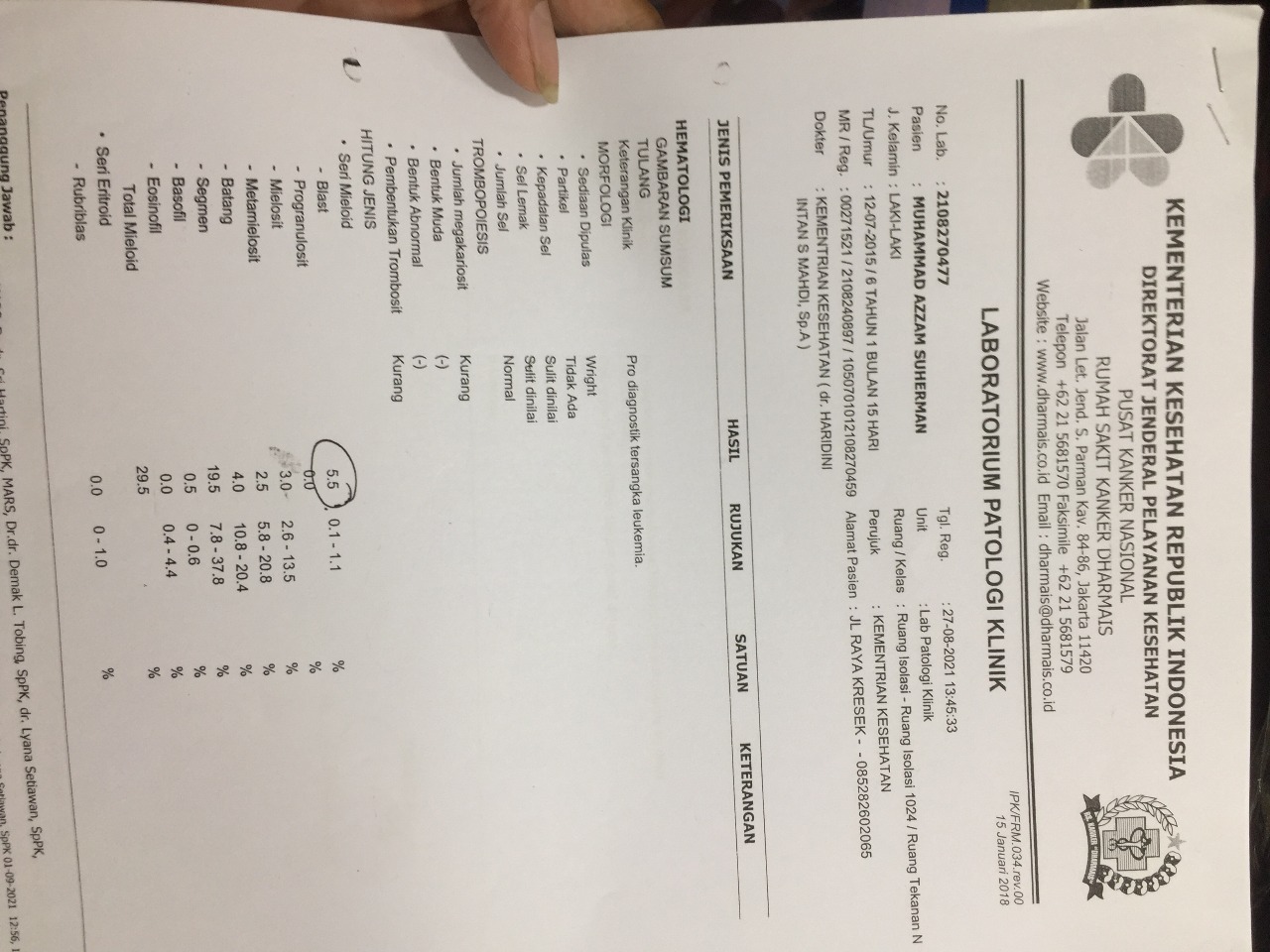 benihbaik_2021-11-05_4242ab652a22fceeca13e71aa3a77c8165a4299f_jpeg