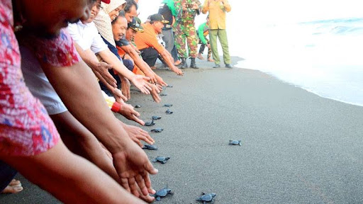 benihbaik_2021-11-15_03184b2e36203ea676dace207ca948cb249407bf_jpeg